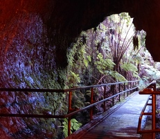 Thurston lava tube